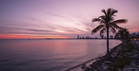 Sunset key Biscayne dog beach Stock Photos