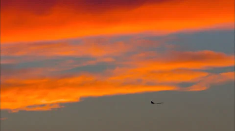 Sunset Kite Evening 動画素材 30811933