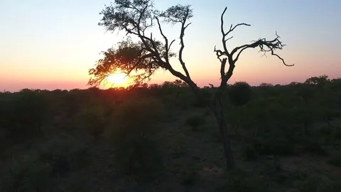 Sunset in the Kruger Stock Footage 69735884