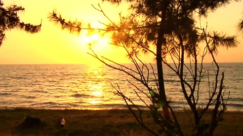 Sunset by the Lac Stock Footage 41380858