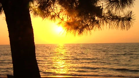 Sunset by the Lac Stock Footage 41380864