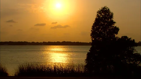 Sunset Lake Agnes Marshland Tree 動画素材 31479441