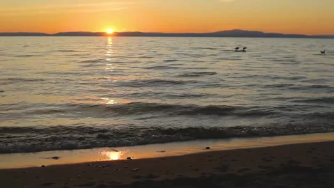 Sunset on the lake, calm waves and gulls on stone and in the sky Video stock 139100372