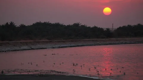 Sunset on a lake in Dakhla Oasis, Egypt Stock Footage 36735255
