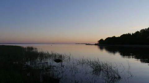 Sunset on lake evening landscape Stock Footage 137799339