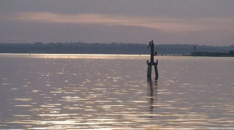 Sunset by the lake Video stock 114007