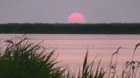 Sunset on lake. Stock Footage 518339