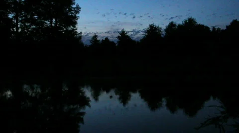 Sunset lake Stock Footage 781231