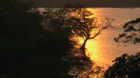 Sunset on the lake Vidéo 10763918