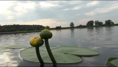 Sunset, lake 스톡 동영상 25619264