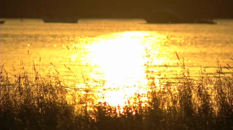 Sunset in lake Stock Footage 36286477