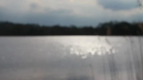 Sunset on the lake Stock Footage 49960967