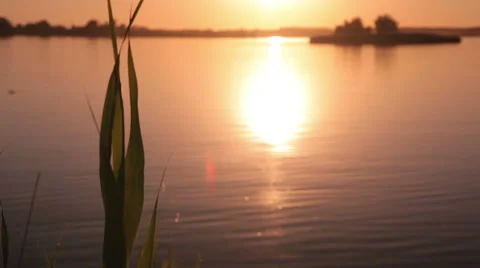 Sunset on the lake 動画素材 50908294