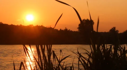 Sunset on the lake Stock Footage 54071599