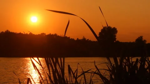 Sunset on the lake Stock Footage 54071633