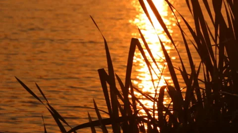 Sunset on the lake Stock Footage 54071640