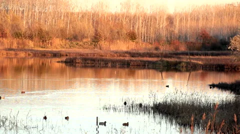 Sunset in a lake Stock Footage 55141210