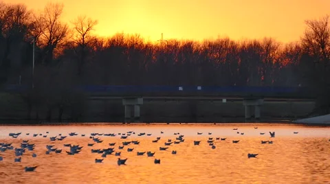 Sunset on the lake Stock Footage 63452003