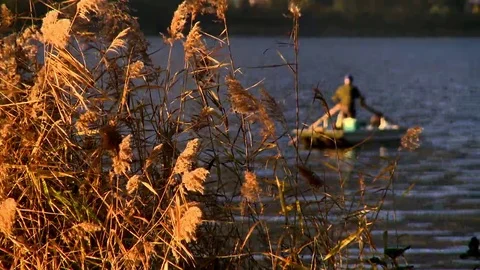 Sunset on the lake Stock Footage 69199381