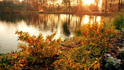 Sunset on the lake Stock Footage 70507550