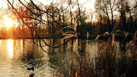 Sunset on the lake Stock Footage 70507769