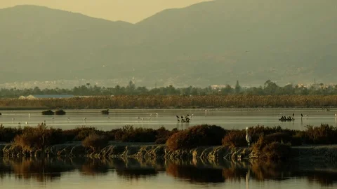 Sunset on lake Stock Footage 83458432