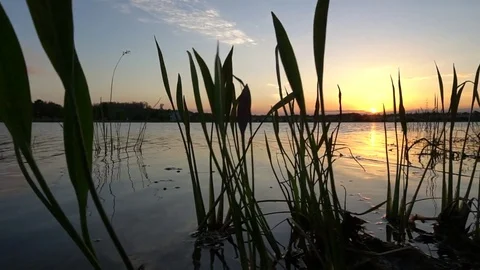 Sunset On The Lake Stock Footage 85144672