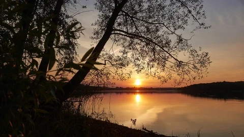 Sunset on the lake Stock Footage 94521276