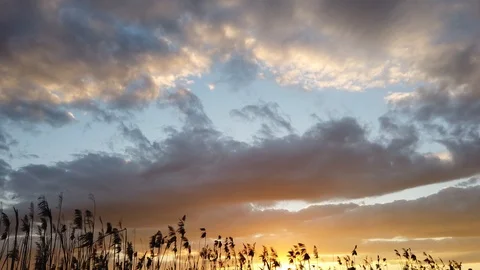 Sunset on the lake. Stock Footage 112021316