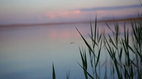 Sunset on the lake . Stock-Footage 114327054