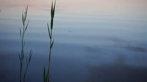 Sunset on the lake . Видео 114327223