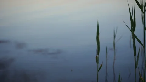 Sunset on the lake . Видео 114327316