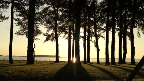 Sunset on the Lake Video stock 141230829