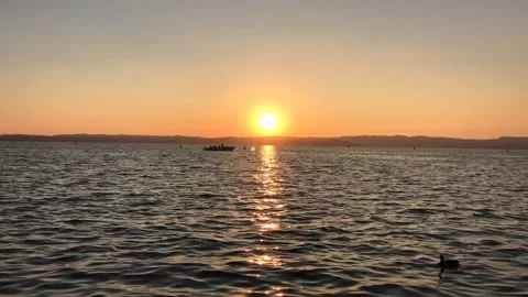 Sunset at lake Video stock 168585126