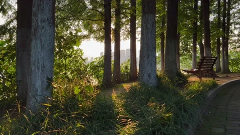 Sunset by the lake Stock Footage 196158582