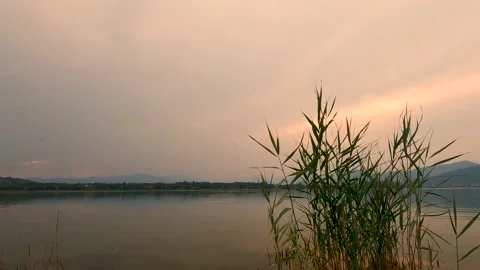 Sunset on the lake Stock Footage 202046370