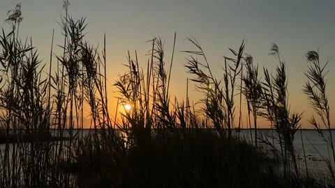 Sunset On Lake Stock Footage 231536268