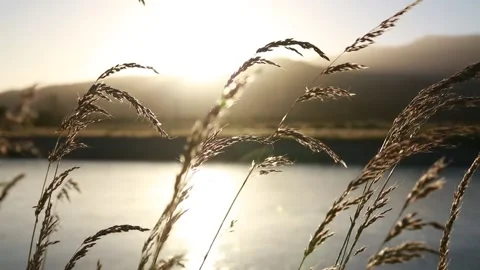 Sunset on lake Video stock 243326465