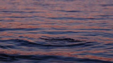 Sunset at the Lake Vídeos de archivo 250046592