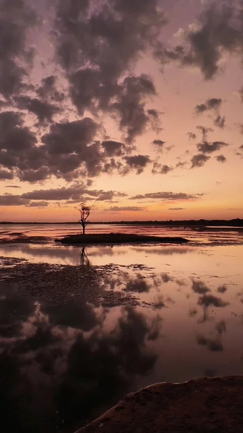 Sunset in the lake Video stock 260444158