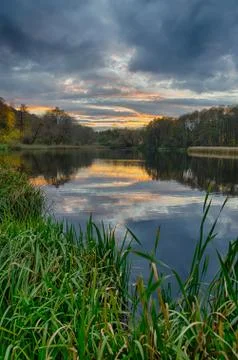 Sunset on the lake with forest with green grass in summer. Stock Photos