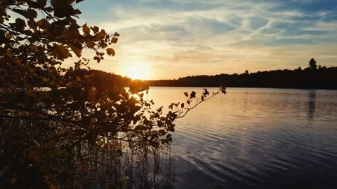 Sunset Lake Framed by Trees and Lakeside Grass in Peaceful Nature Stock Footage 341984407