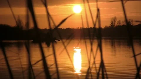 Sunset at lake, glide track Stock Footage 10608860