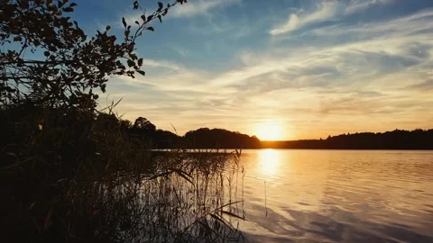 Sunset Lake With Golden Reflection, Reeds and Wide Peaceful Nature View Stock Footage 342006782