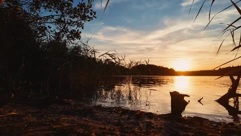 Sunset Lake With Golden Water Reflection, Reeds and Peaceful Nature Shoreline Stock Footage 342006860