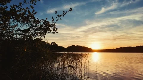 Sunset Lake With Golden, Wispy Clouds and Dark Nature Silhouettes Stock Footage 342006789