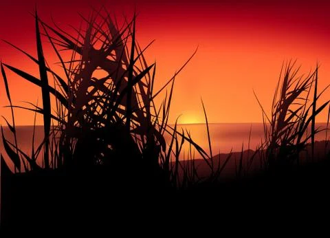 Sunset Lake Stock Illustration