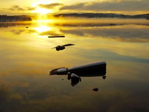 Sunset lake landscape Stock Photos
