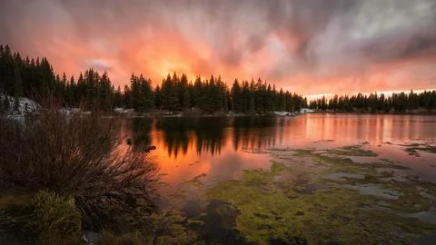 Sunset Lake Landscape with Pine Forest Reflection Stock Photos