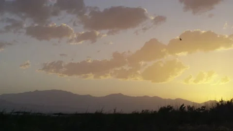 Sunset on lake with marsh grasses and mountains in the distance at Utah Lake Video stock 168703680